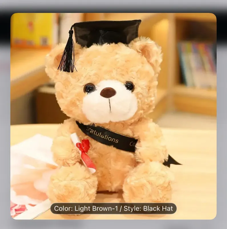 Graduation Teddy Bear Medium Sized