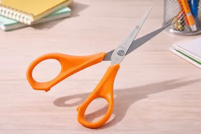 Stainless Steel Hand Scissors 7 Inch